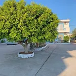 Apollonio Suites & Rooms Faliraki Rhodes